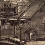 cogger_presse_krebs_s.532_.jpg